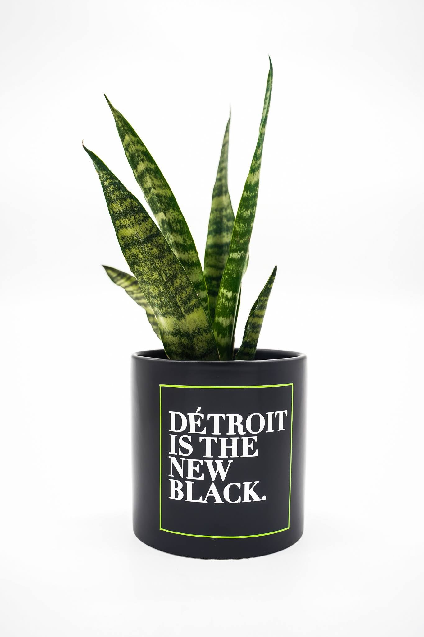 Woodward Planter