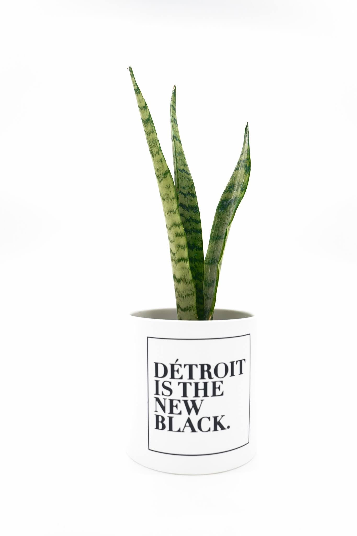 Woodward Planter