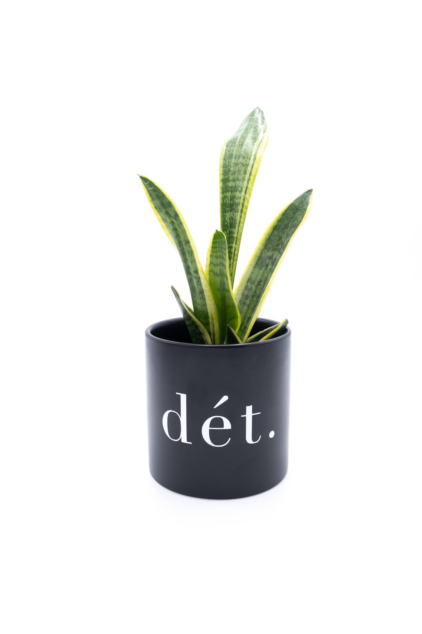 dèt Planter